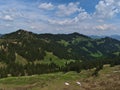 View of the HÃÂ¶rner Group in the AllgÃÂ¤u Alps with GroÃÅ¸er Ochsenkopf peak near Oberstdorf, Bavaria, Germany in early summer. Royalty Free Stock Photo